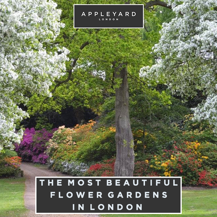 The Most Beautiful Flower Gardens In London Leyard Blog