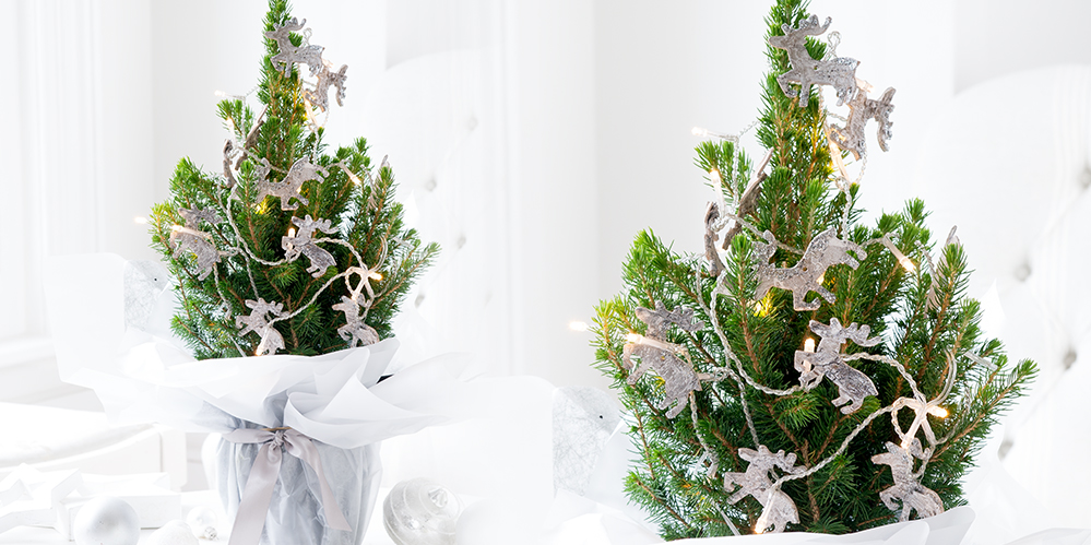 6 Surprising Ways You Can Make Christmas Easier With A Mini Tree