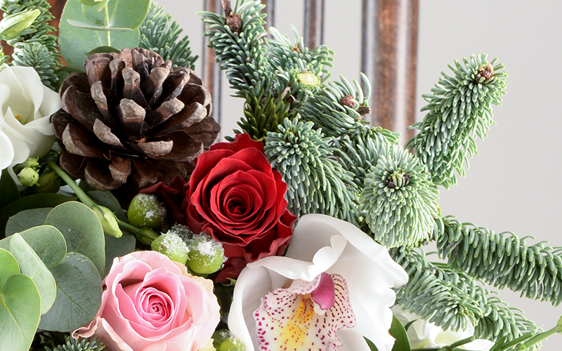Top 6 Traditional Christmas Flowers & Plants Appleyard London