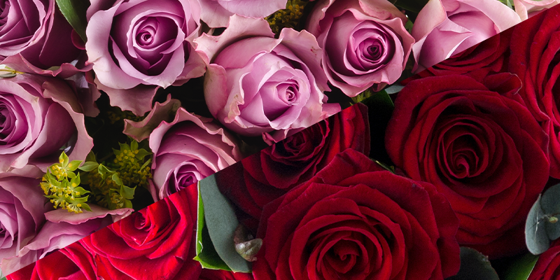 Mothers vs Lovers: Do we care more about Valentine's Day or Mother's Day?