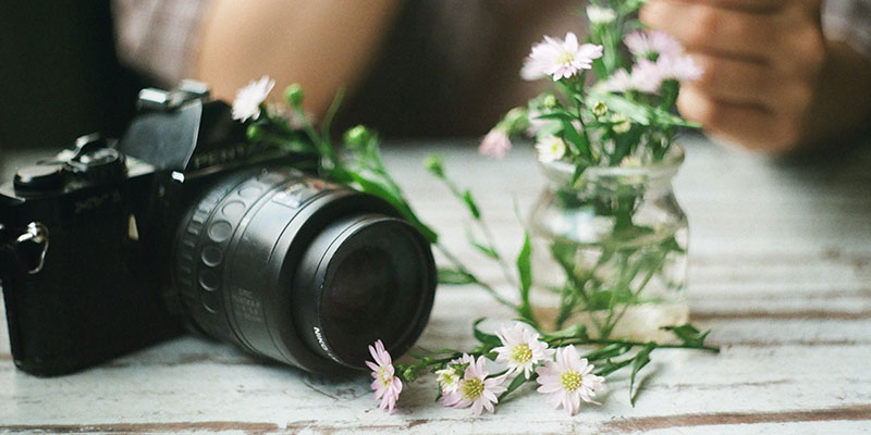 How to Photograph Flowers