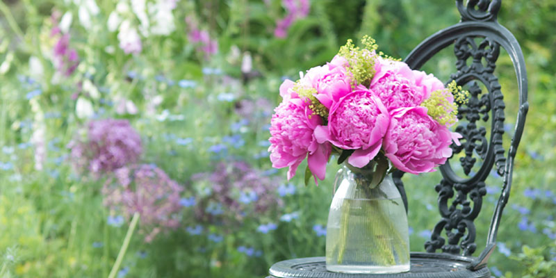 Support UK Growers With Our Best Of British Flowers