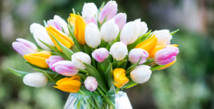 The Best British Flowers by Season - Appleyard London