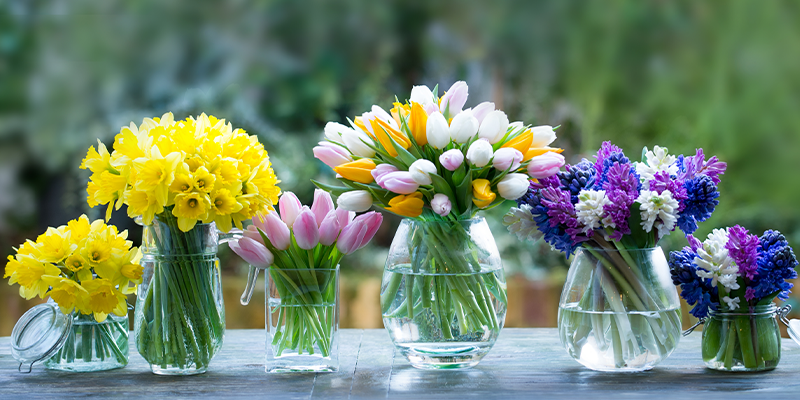 The Best Spring Flowers to Send this Spring