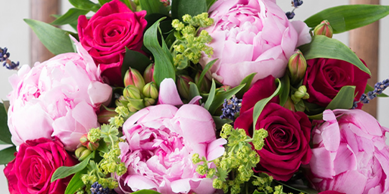 8 Best Cut Flowers for People with Hay Fever