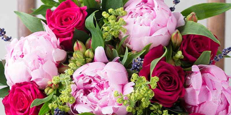 8 Best Cut Flowers for People with Hay Fever