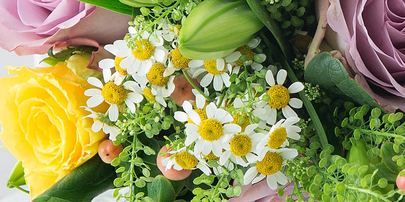 A zoomed in picture of miniature daisies in a bouquet.