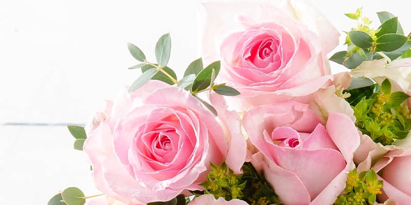 3 Pink Roses