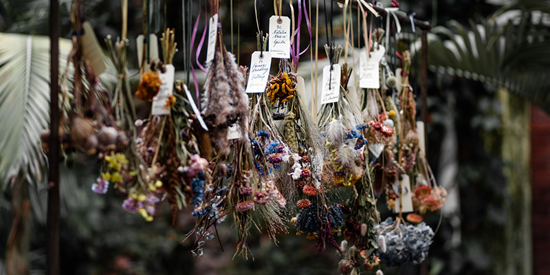 Photo of flower stems being air dried hung upside down.