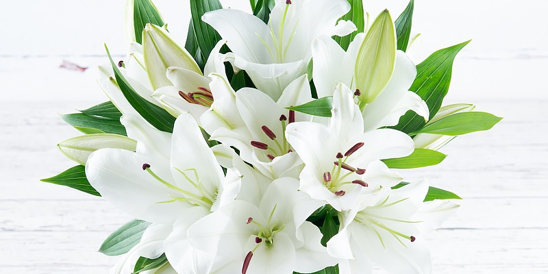 What Are The Best Sympathy Flowers Appleyard Blog What Are The Best Sympathy Flowers Appleyard Blog