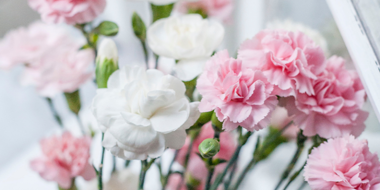 The Language of Flowers | Flower Meanings - Appleyard London