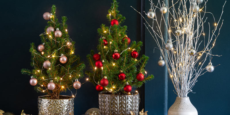 7 Surprising Ways You Can Make Christmas Easier With A Mini Tree