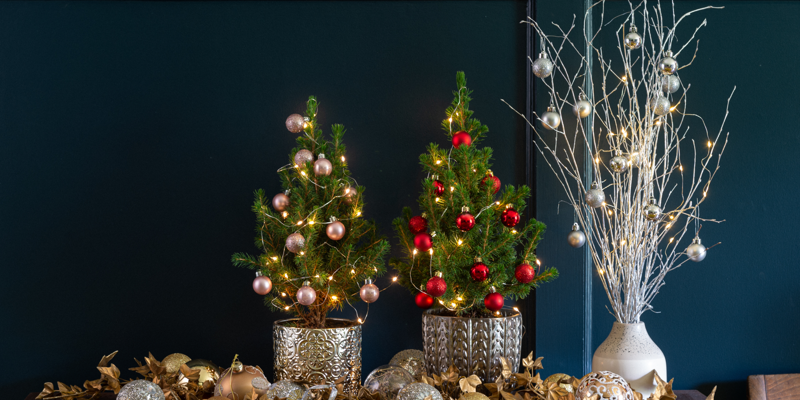 Two evergreen miniature Christmas trees with baubles, and a silver birch twig tree. 
