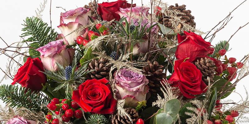 A close up of a festive bouquet showing red and purple roses, pine cones, ferns and seasonal fronds, the foliage is splayed around the flowers 