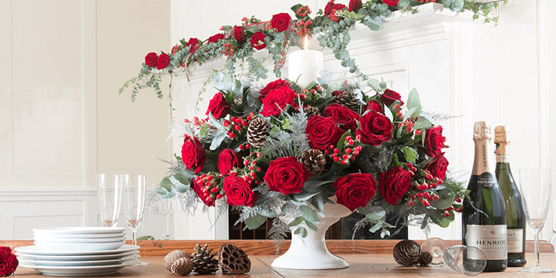 Top 6 Traditional Christmas Flowers & Plants