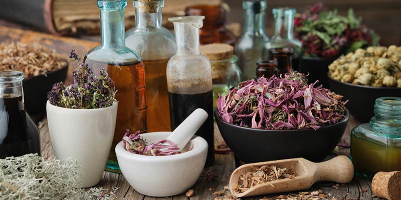 16 Plants & Flowers with Magical Healing Properties