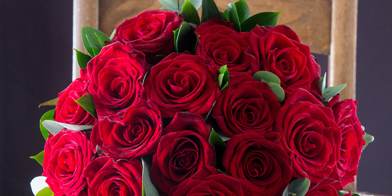 Red Roses: Their Meaning, Symbolism and History – Magic Flower Company