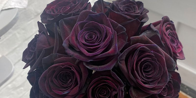 12 Flowers To Send To People You Hate