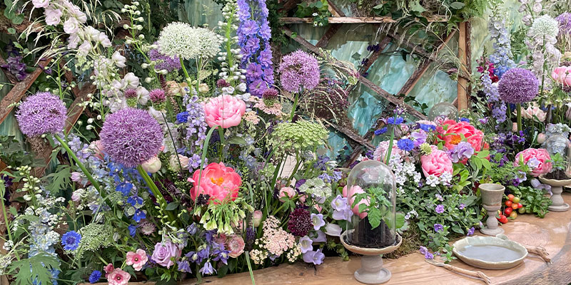 Chelsea Flower Show 2022:  Our 20 Floral Highlights