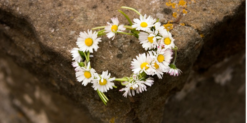How To Make A Daisy Chain This Summer