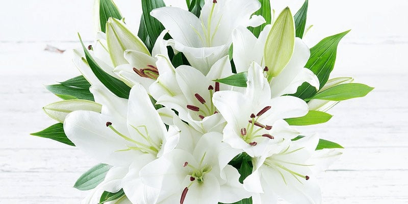 What are the best sympathy flowers?