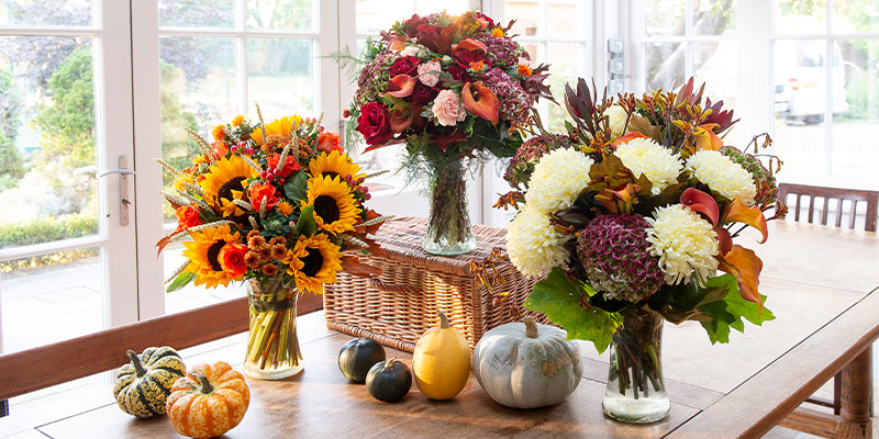 12 Best Autumn Flowers & Foliage for Bouquets