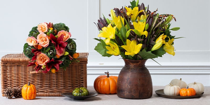 10 Spooky Halloween Flowers