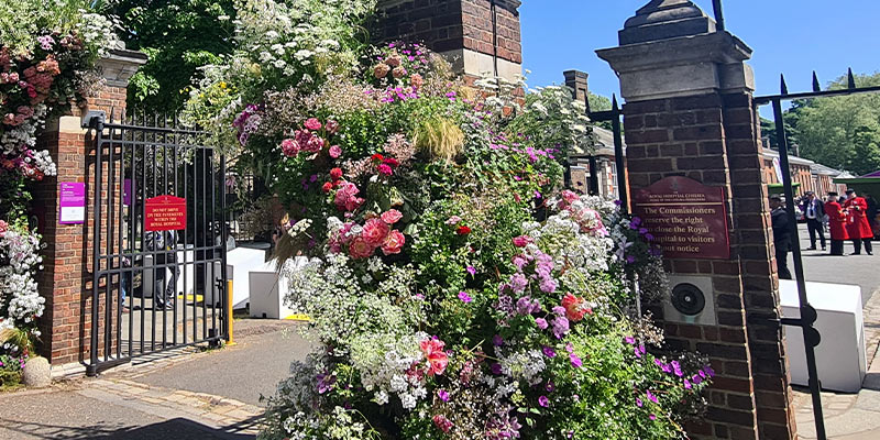Chelsea Flower Show 2023: Highlights & Trends