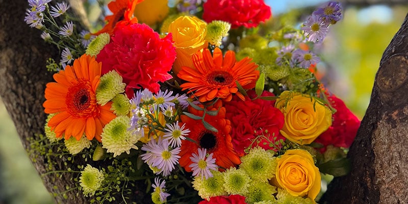 10 Flowers that Symbolise Friendship