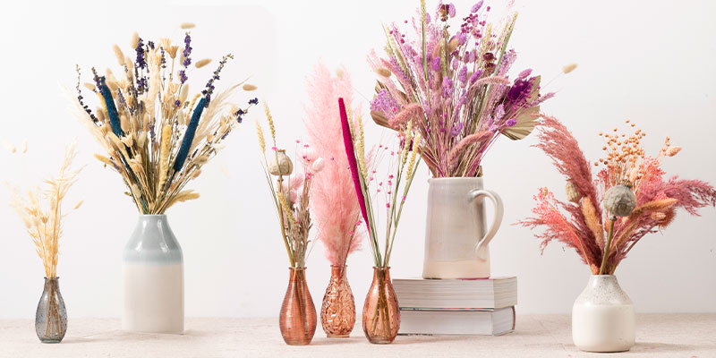 Top 8 Dried Flowers & Grasses for Bouquets