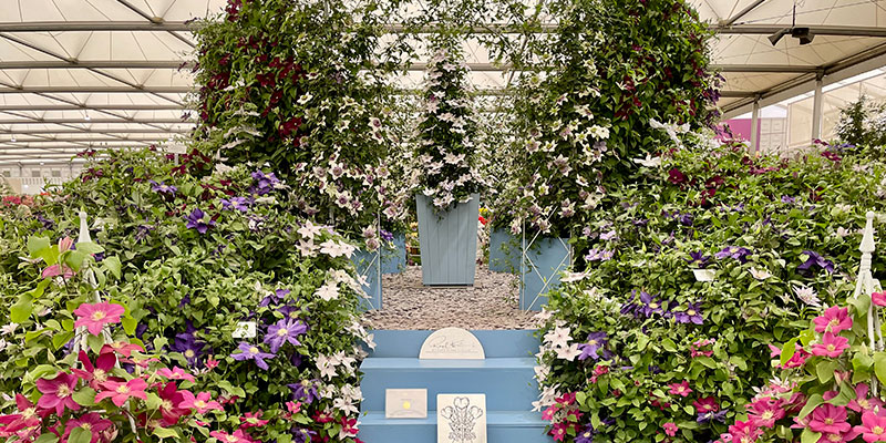 The History of the Chelsea Flower Show