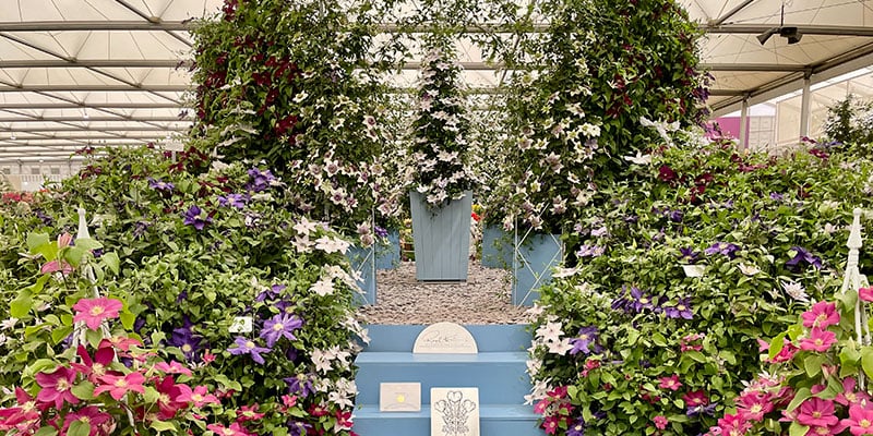 The History of the Chelsea Flower Show