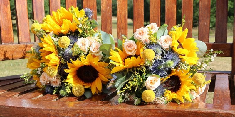 8 Flowers That Symbolise Happiness