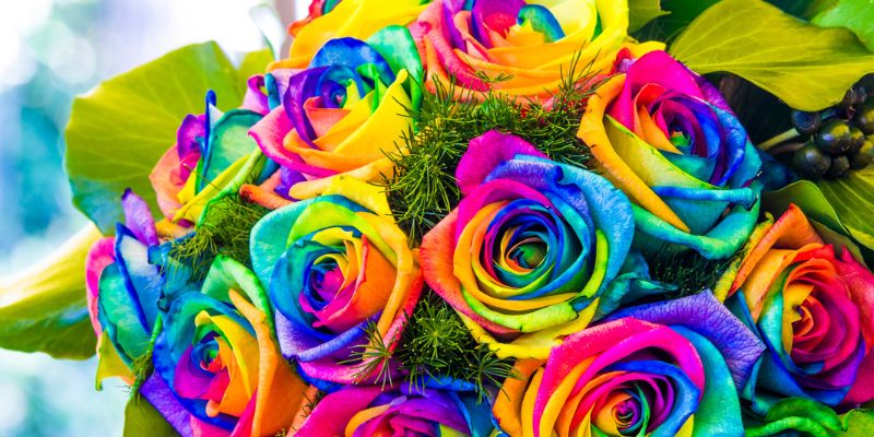 The Secret LGBTQ+ History Behind These Common Flowers