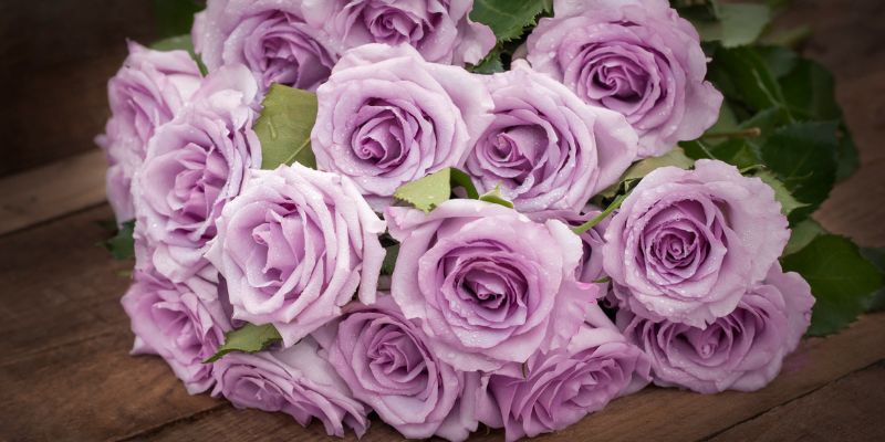 Best Purple Flowers For Bouquets