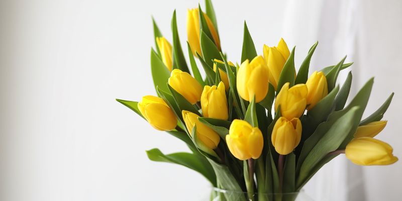 Blue Monday Mood-Boosters: Thoughtful Gifts to Lift Someone’s Spirits
