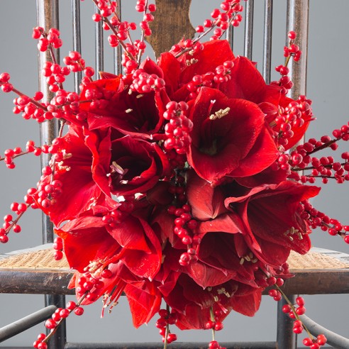 Top 6 Traditional Christmas Flowers Plants Appleyard London