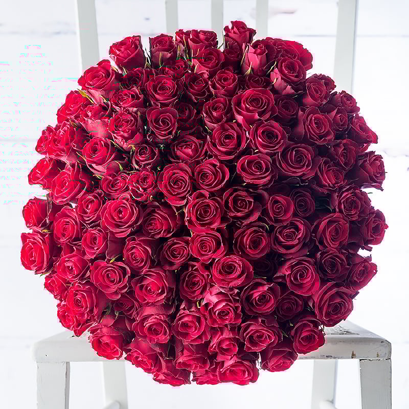 100 Red Roses