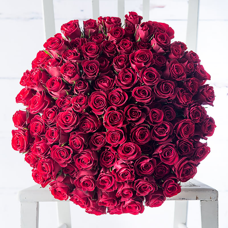 100 Red Roses