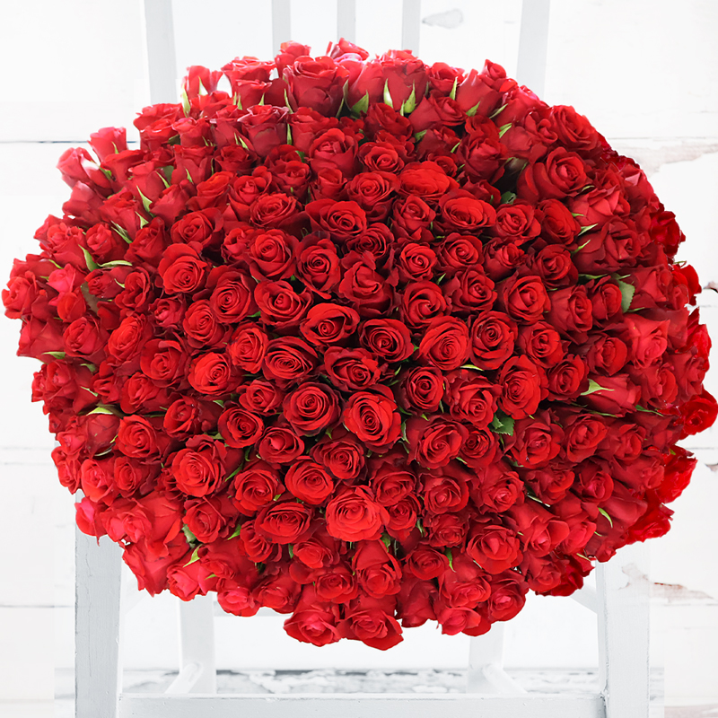 200 Red Roses - Deluxe Red Rose Flower Bouquet - Hand-Tied by Luxury Florist - Next Day Flower Delivery UK - Appleyard London