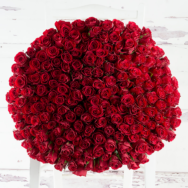 200 Luxury Red Roses - Romantic Flowers - Flower Bouquet - Next Day Flower Delivery UK - Appleyard London