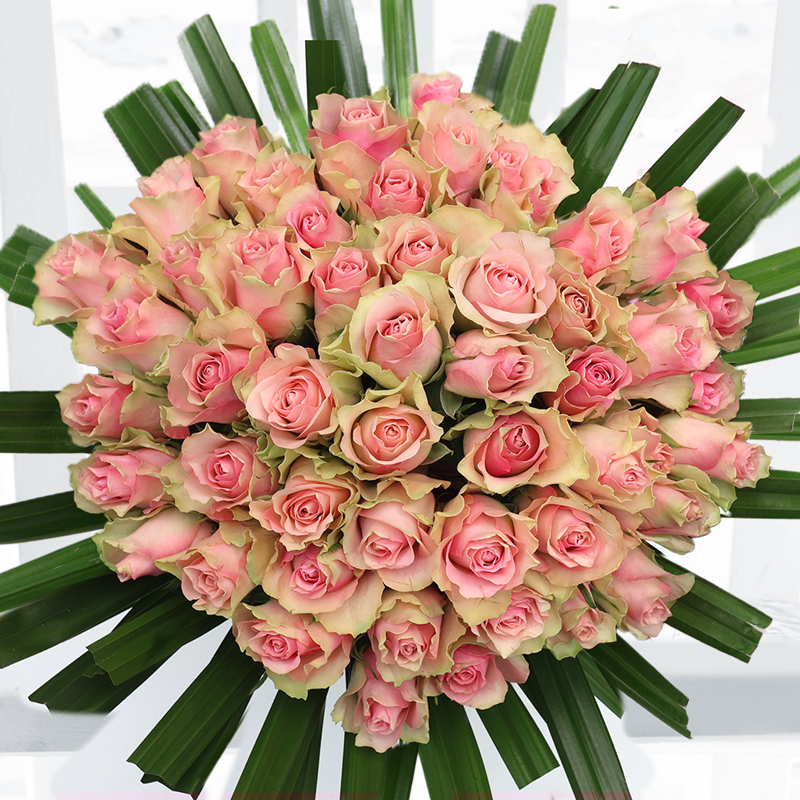 50 Pink Roses - Hand-Tied By Luxury Florist - Flower Bouquet - Next Day Flower Delivery UK - Appleyard London