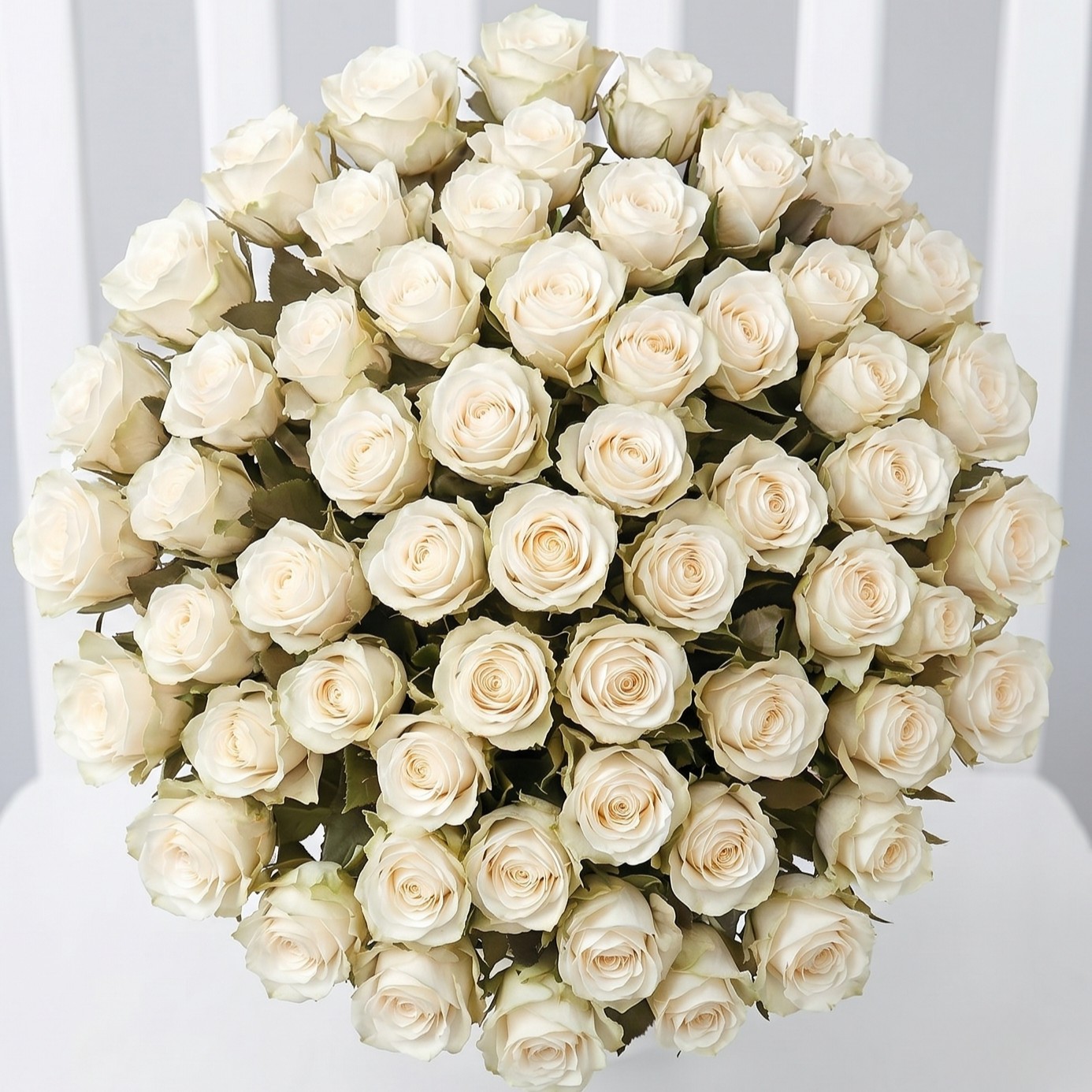 50 White Roses - Luxury Roses Bouquet - Next Day Flower Delivery UK - Appleyard London