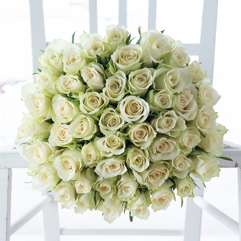 50 White Roses with Bee Mine Rose Gift Set