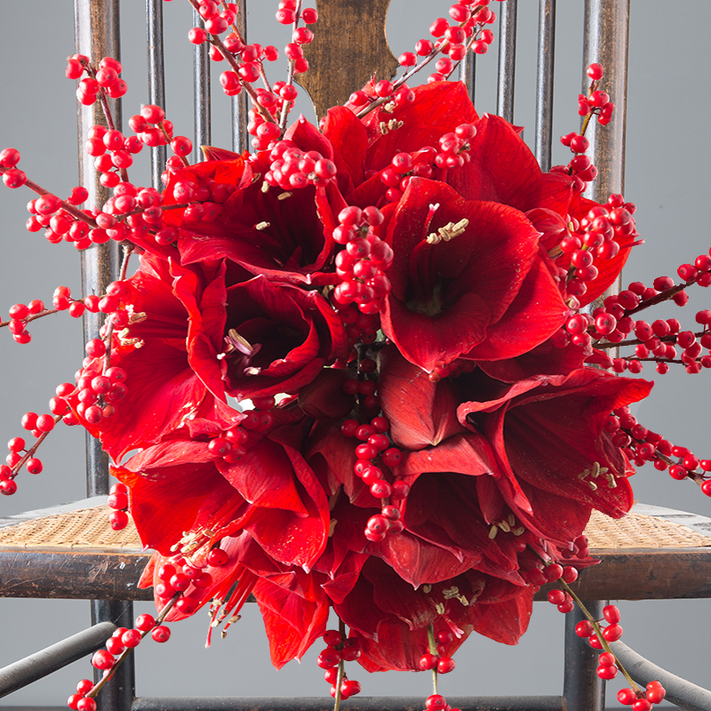 Amaryllis & Ilex Berry