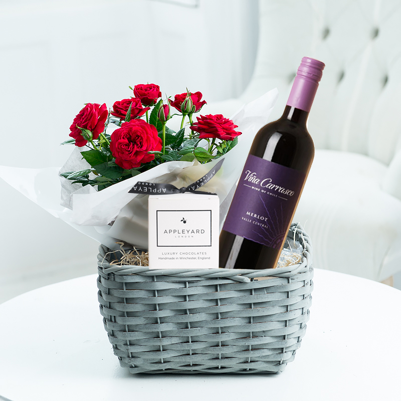 Red Wine Plant Hamper