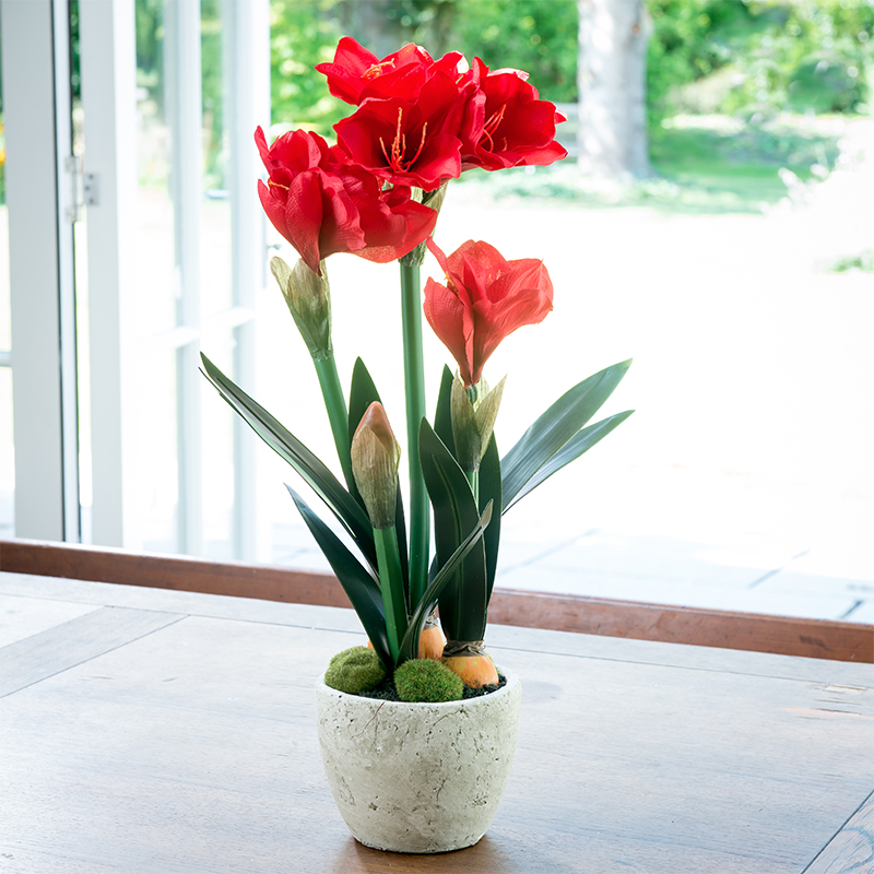 Artificial Amaryllis