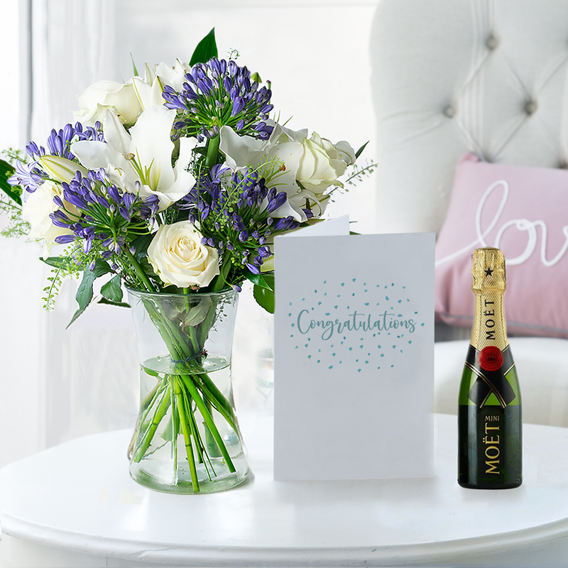 Flower Gift Set Congratulations - Bluebelle, Mini Moët, Vase & Card - Agapanthus & Greenbell - Next Day Flower & Gift Delivery UK - Appleyard