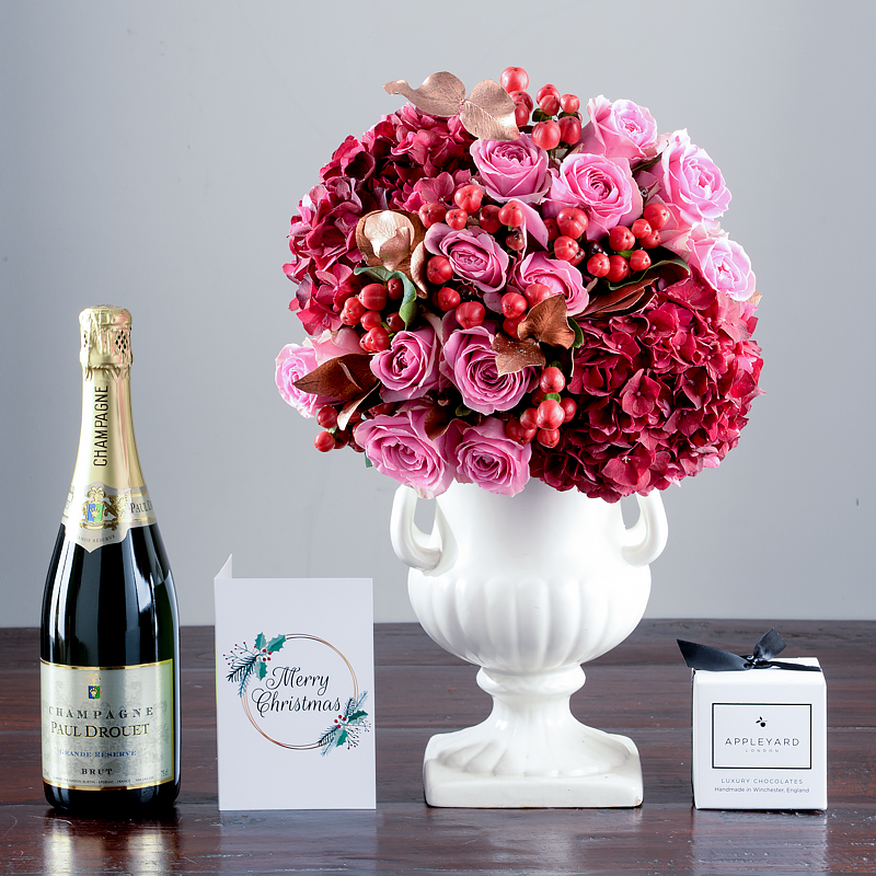 Christmas Hydrangea, Champagne & Truffles Gift Set