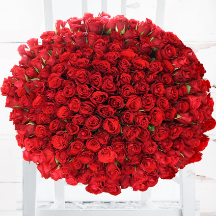 200 Classic Red Roses